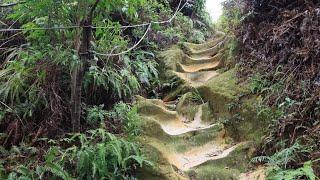 （北投地質生態步道）【唭哩岸烏尖連峰步道-奇岩山-唭哩岸山-軍艦岩親山步道】，路線軌跡gpx提供下載，[喜歡、歡迎訂閱]！