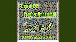 Tree Of Prophet Muhammad