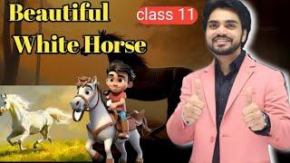 Summer of the beautiful white horse Class 11 (हिंदी में ) Explanation By dear sir