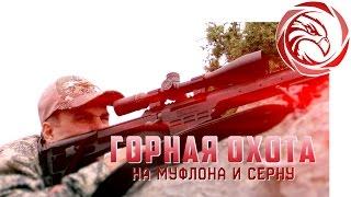 ГОРНАЯ ОХОТА В БОЛГАРИИ. ЕВРОПЕЙСКИЙ МУФЛОН И БАЛКАНСКАЯ СЕРНА