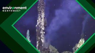 Underwater volcano in the Pacific Northwest shows signs of eruption