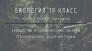 Биология 11 кл Теремов §61 Природные экосистемы