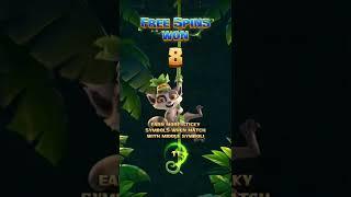 Teaser : Jungle Delight