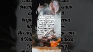 #аллах #коран #ислам #хадисы #аятыкорана #аят #аяты #хадис #пророк #чудо #чудеса #кожа #тыква