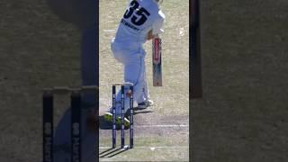 Bail jumps up - and lands back down in place!! #sheffieldshield