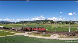 Bahnübergang Dottikon Ammerswilerstrasse - Zug trainfart train