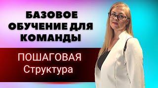 Базовое обучение для партнеров. Система работы в млм.Как работать с новичками в сетевом бизнесе