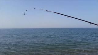 Espinete Surfcasting dorada xl en un dia para el recuerdo