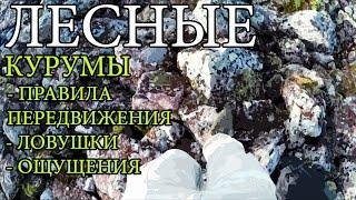 Курумы | Правила передвижения | Ловушки | Ощущения | Rocks Adventures