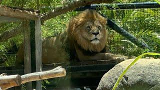 Perth Zoo Western Australia