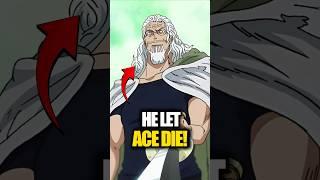 The Mistery Behind Ace and Rayleigh #anime #onepiece