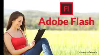 What is adobe flash