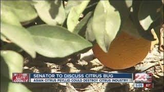 Senator Vidak discussed citrus bug