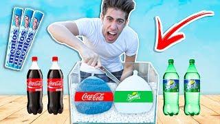 EXPERIMENT: COCA COLA & SPRITE VS MENTOS