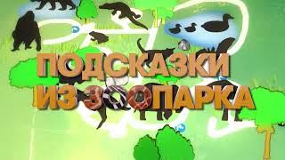 Подсказки из зоопарка. Новая программа на CTC Kids!