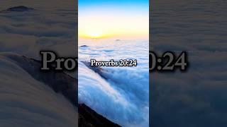 Trust in God’s Guidance for Your Life - Proverbs 20:24 
