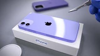 iPhone 12 Purple Unboxing - ASMR