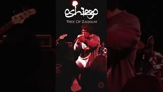 Oshiego - Tree Of Zaqqum (Doomsday IV, at the Aliwal Arts Centre 2015)