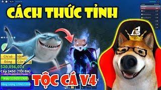 Cách Lấy Tộc Người Cá V4 Trong Blox Fruit Thành Công 100% (How To Get Fish V4) | Roblox