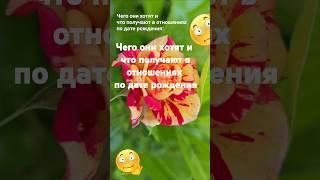 Чего они хотят и что получают в отношениях по дате рождения / Эзотерика Нумерология Гороскоп Знаки