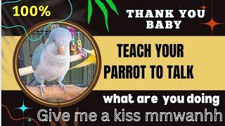 Teach your parrot to talk | What You Doing | Give Me a Kiss | Mmwanhh | Thank You Baby