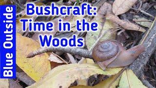 Bushcraft. Time in the Woods, Fire Reflector, Flint and Steel Fire