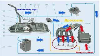 Adsorber, EVAP system errors. Symptoms of malfunction and checking the canister purge valve