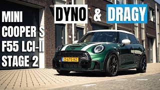 290HP & 390NM MINI Cooper S F55 LCI-II B48 Stage 2 Custom Tuning | 0-100 & 100-200 KMH