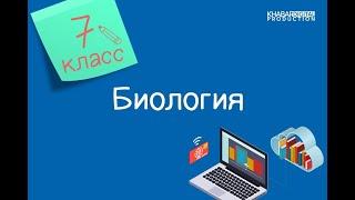 Биология. 7 класс. Значение выделения для живых организмов. Продукты выделения у животных