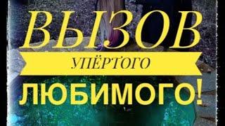 ВЫЗОВ УПЕРТОГО ЛЮБИМОГО. ПОСЛЕ ЭТОГО ВИДЕО ОН % ОБЪЯВИТСЯ.СИЛЬНЕЙШИЙ ВЫЗОВ