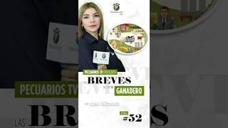 Pecuarios TV: Las breves del sector ganadero - 27 Diciembre 2024