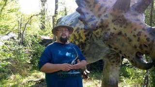 Backyard Terrors Dinosaur Park : Past Projects and Terrors of the Deep Support