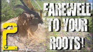 Building a Cabin in the Woods Series:#02 "Farewell to you roots"