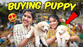 Ammu Cried - Buying DOG  || Ammu's Dream || Ammu Times ||