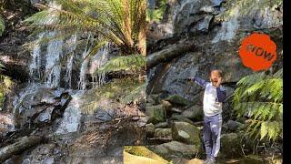 Exploring Tarra Valley | Waterfalls and Suspension Bridge | Tarra Valley Rainforest :