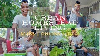 VLOG | Urban Homestead Living | Onion & Greenhouse Growing | Botanical Interests Onion Seed Haul