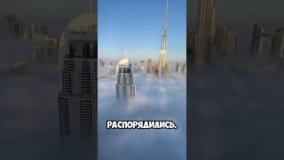 Почему Дубай стал городом будущего