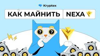 Как майнить Nexa (Windows, Hive OS, Rave OS)