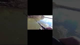 Вот оно, счастье рыбацкое!