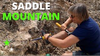 SADDLE MOUNTAIN: Digging Basalt & Petrified Wood in Washington State