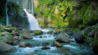 Relaxing sound of waterfalls, forest streams for deep sleep, stress relief, healing