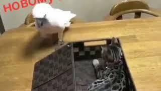 Улыбнись новому дню!!!!!!