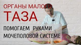 ОРГАНЫ МАЛОГО ТАЗА. Как самостоятельно улучшить функцию? Эффективные остеопатические техники.