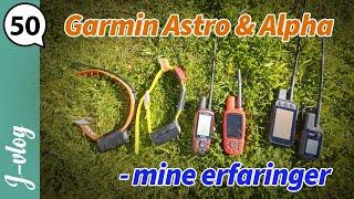 Garmin Astro & Alpha - my experiences | Hunting vlog 50