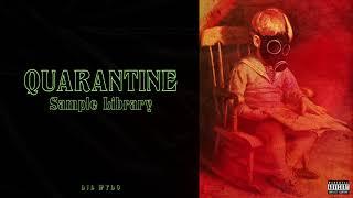 FREE Trap Sample Pack 2020 "Quarantine" Cubeatz x Frank Dukes x Pvlace Type Samples | Ethnic x Flute