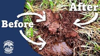 How to fix Waterlogged Soil