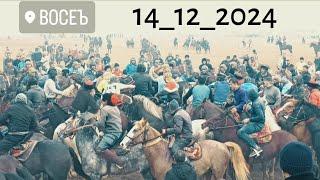 бузкаши н.Восе д.Правда 14_12_2024