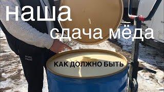 Наша сдача мёда оптом (как должно быть)мёд оптом