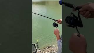 два карася, один сорвался, дуплет на рыбалке #fishing #рыбалка