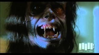 Werewolf transformation - The Howling (1981)